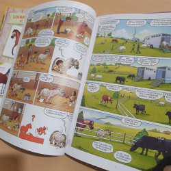 A cheval! 4
