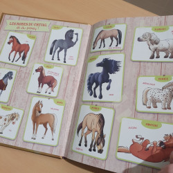 A cheval, best of