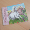 Horses Dreams