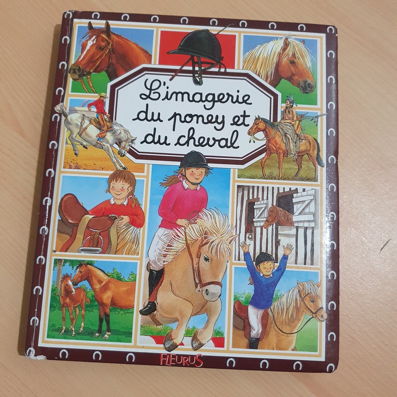L'imagerie du poney et du cheval
