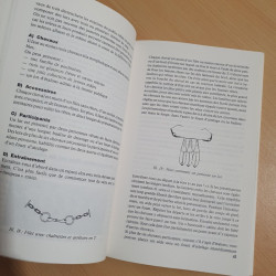 Présentation des chevaux