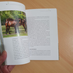 Le bonheur est à cheval