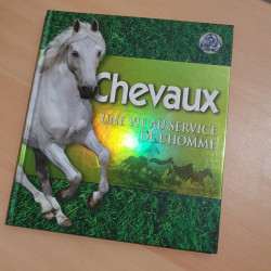 Chevaux, une vie au service de l'homme