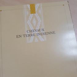 Chevaux en terre Indienne