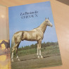 La passion des chevaux