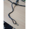 Collier de chasse HFI