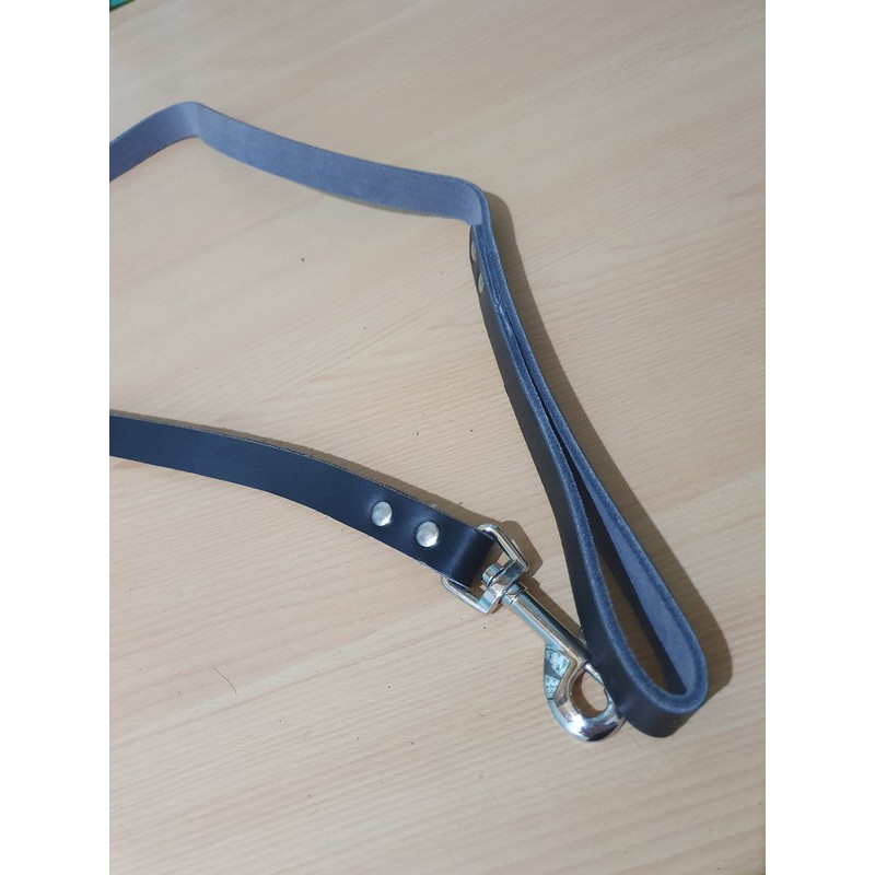 Laisse 102cm