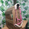 Licol Showmaster cheval