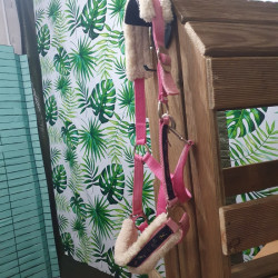Licol Showmaster cheval