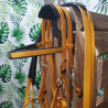 Bridon licol Zilco cob