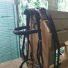 Bridon Cheval