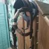 Bridon Western Cheval