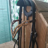 Bridon Cheval