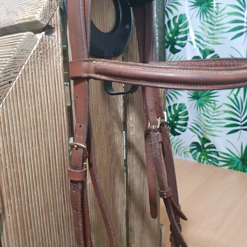 Bridon Chetak Cheval