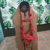 Ensemble Bridon et Collier de chasse cob
