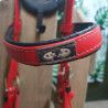 Ensemble Bridon et Collier de chasse cob