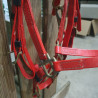 Ensemble Bridon et Collier de chasse cob
